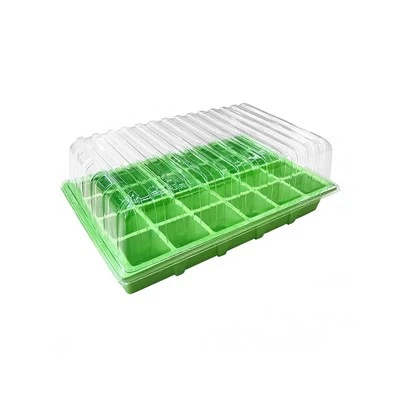 24 Cell Basic Propagator